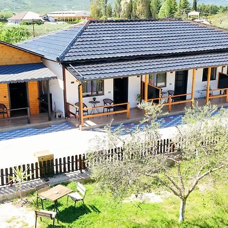 Olive Oasis Studio Berat Zewnętrze zdjęcie