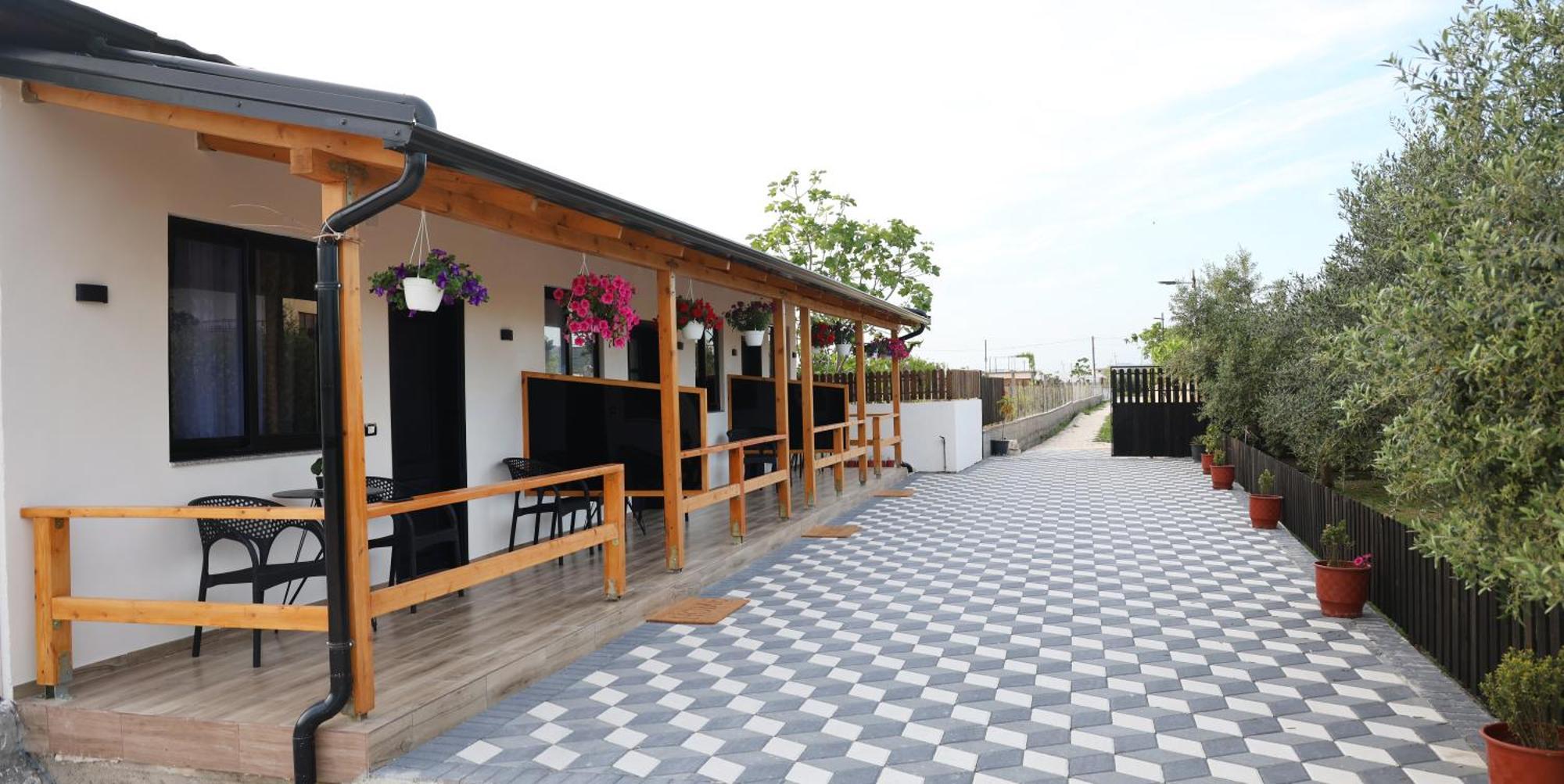 Olive Oasis Studio Berat Zewnętrze zdjęcie