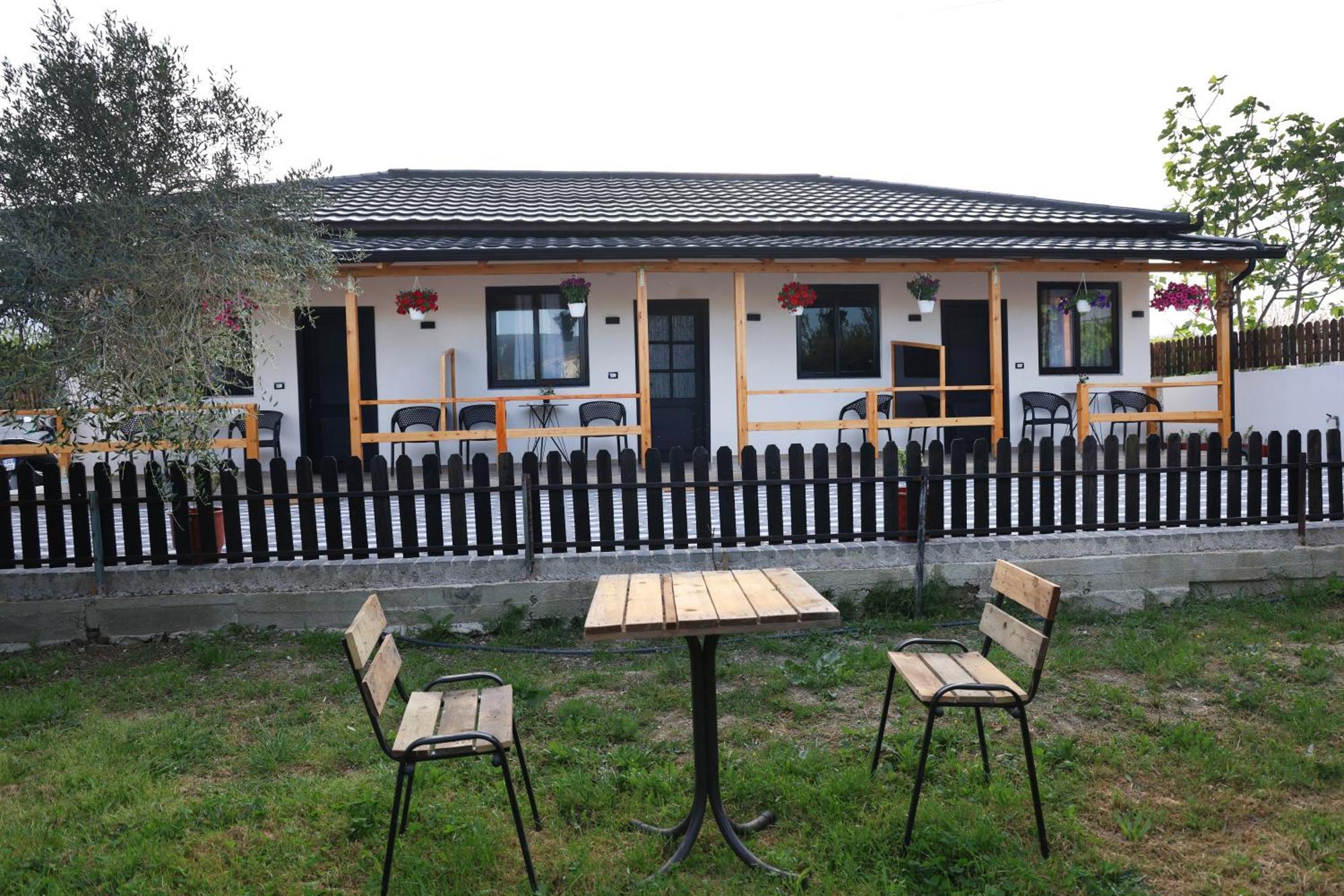 Olive Oasis Studio Berat Zewnętrze zdjęcie
