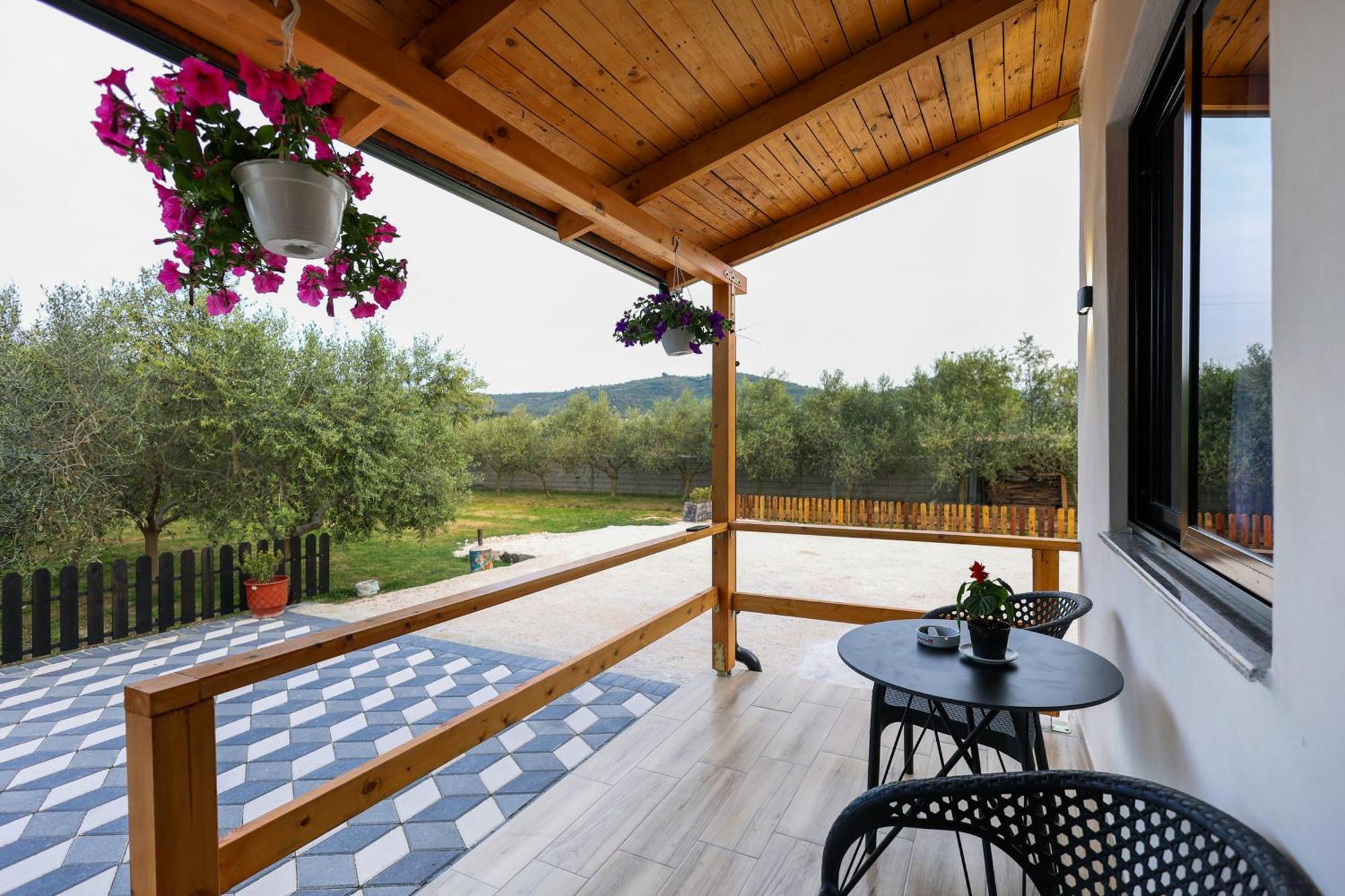 Olive Oasis Studio Berat Zewnętrze zdjęcie