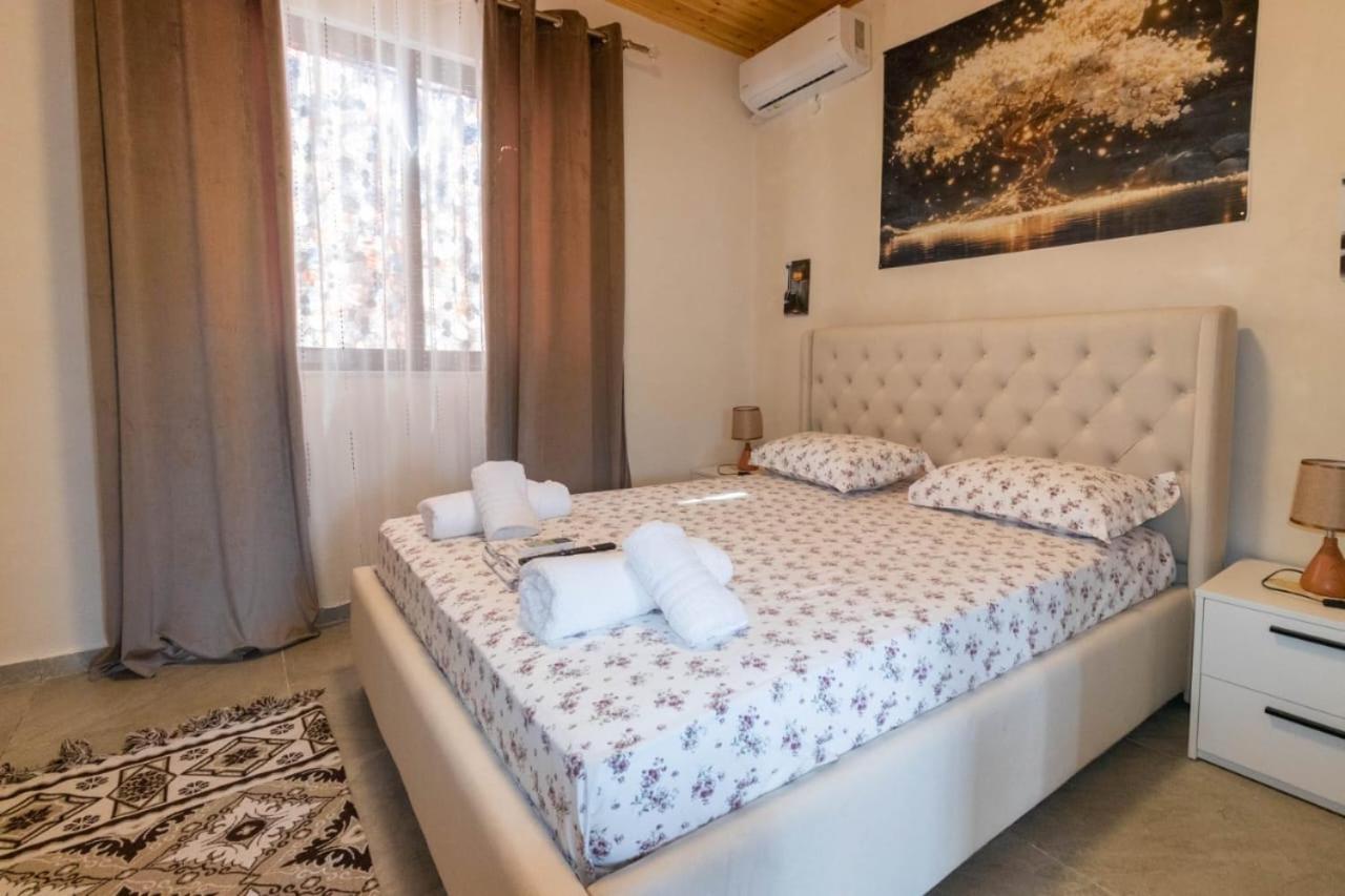 Olive Oasis Studio Berat Zewnętrze zdjęcie
