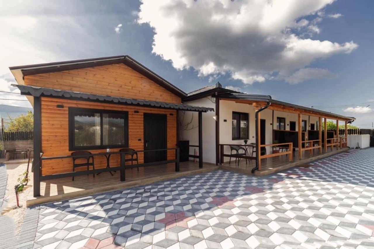Olive Oasis Studio Berat Zewnętrze zdjęcie